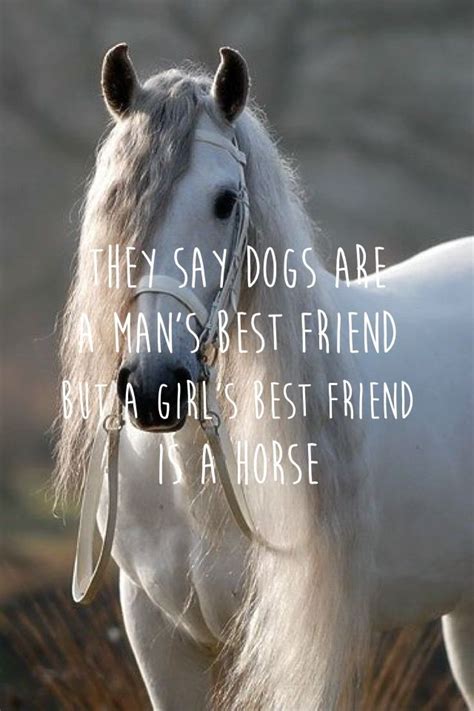 horse quotes and sayings