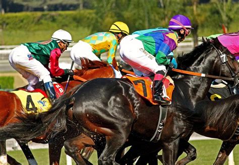 horse race nation latest news