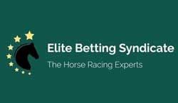 horse racing betting syndicates usa reviews