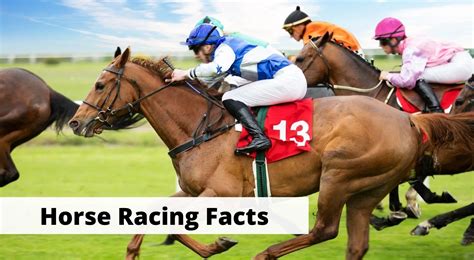 horse racing information websites