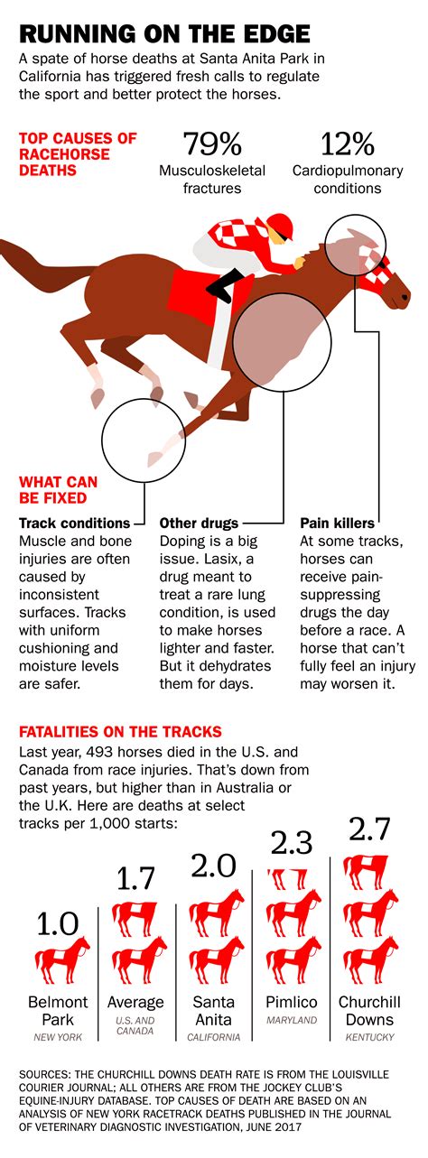 horse racing injuries and deaths