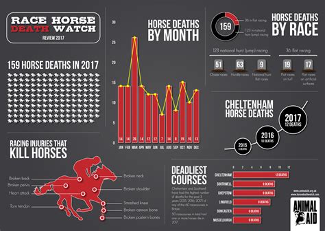 horse racing injuries statistics