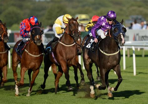 horse racing results for saturday 23