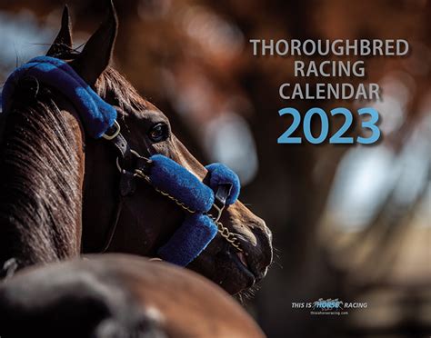 horse racing schedule 2023