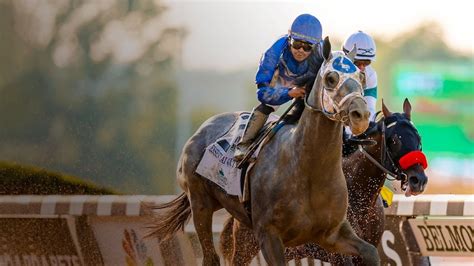 horse racing streaming live free