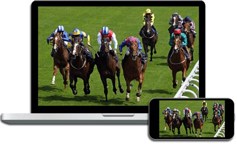 horse racing television network