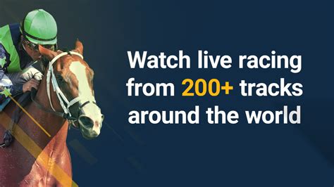 horse racing tvg live
