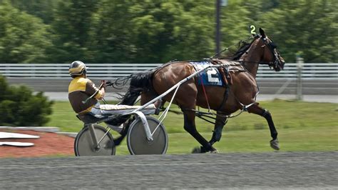 horse racing with a cart