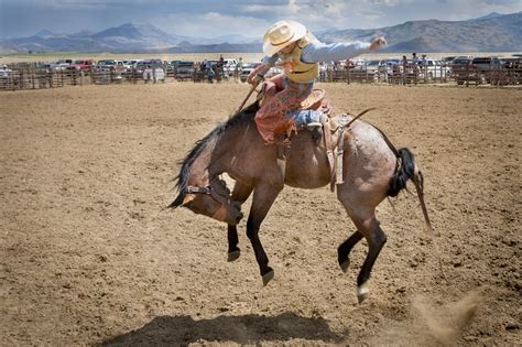 horse ride a cowboy