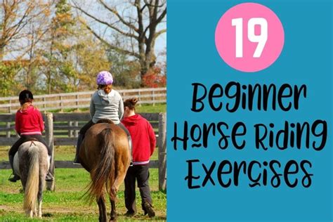 horse riding activities for beginners