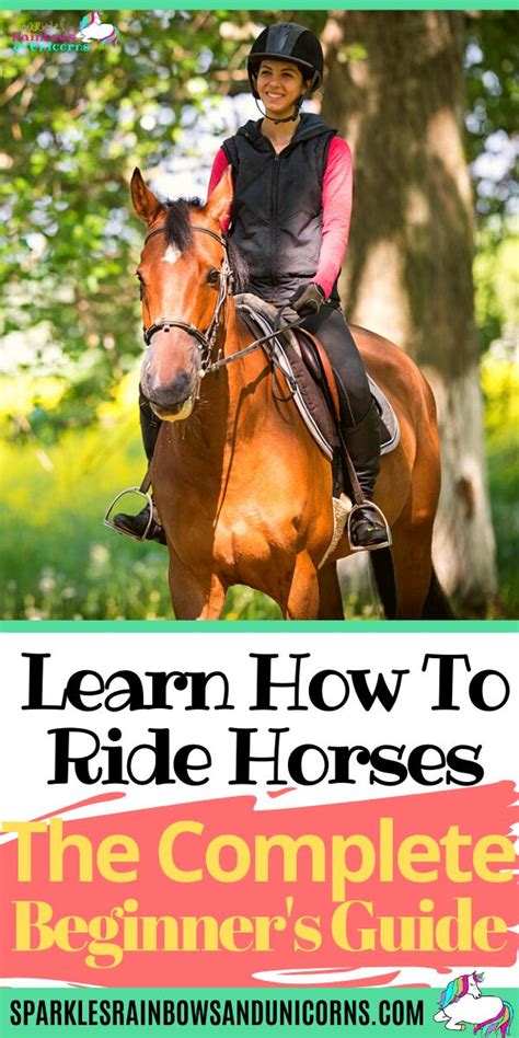 horse riding basics to teach beginners