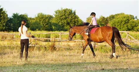 horse riding beginners near london