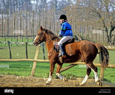 horse riding experience kent