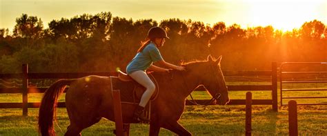 horse riding for children near me