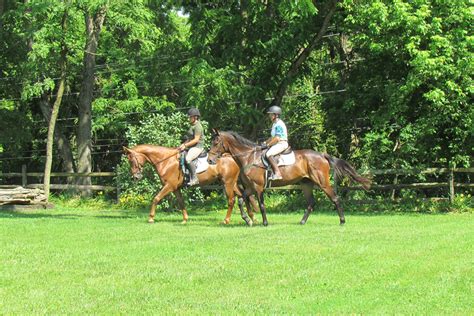 horse riding hacking near edinburgh