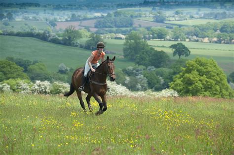 horse riding holidays south england