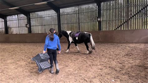 horse riding lessons birmingham