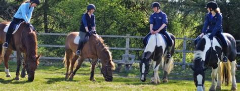 horse riding lessons east london