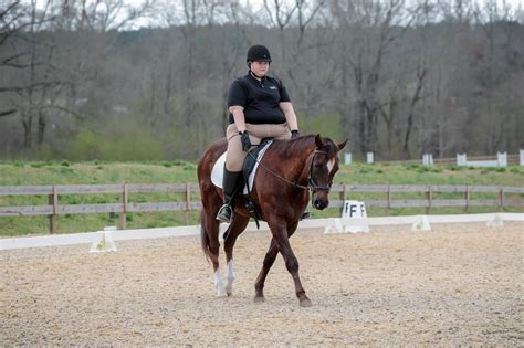 horse riding near birmingham