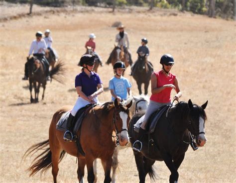 horse riding south west