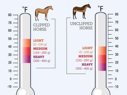 horse rug temperature guide celsius