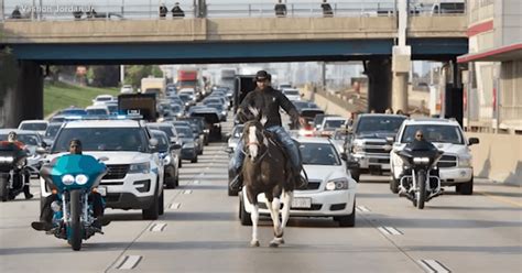 horse running on highway