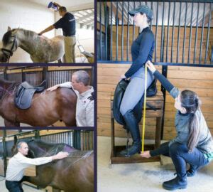Horse Saddle Fitting Courses