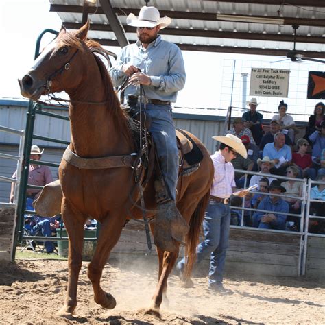 horse sale texas auction
