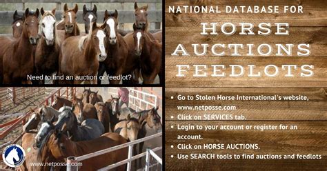 horse sales and auctions