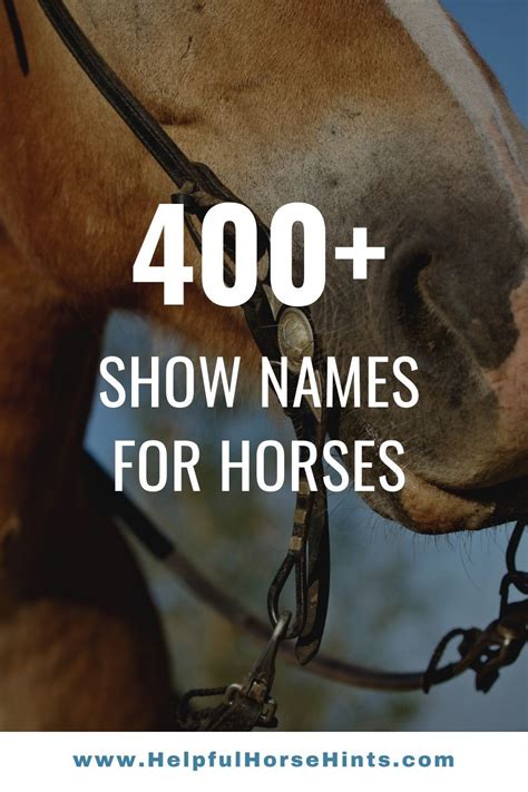 horse show names for stallions