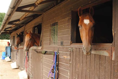 horse stable riding near london