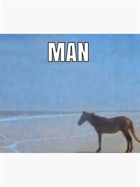 horse staring at ocean meme