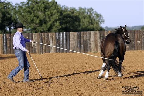 Horse Training Inside Lead