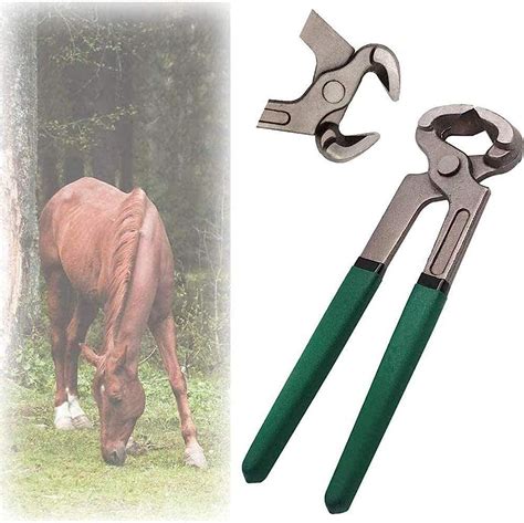 Horse Trimming Tools