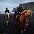 horseback riding black sand beach iceland