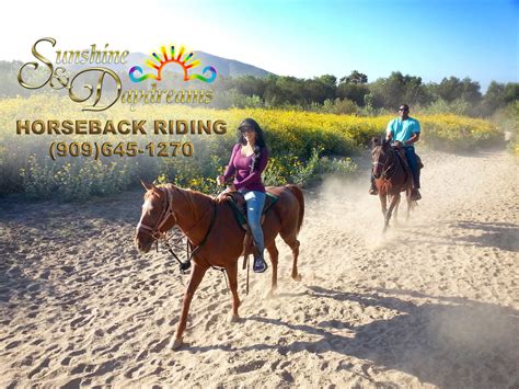S&D Horseback Riding │ Norco Two Hour Trail Ride