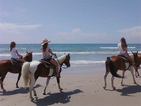 Horses on the Beach, Corpus Christi Beach horseback riding, Horses