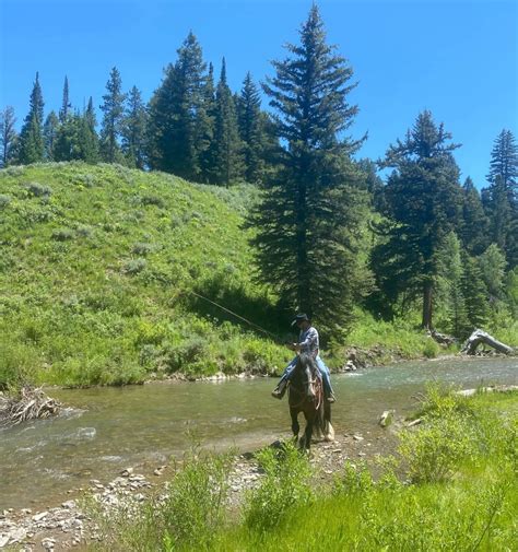 horseback riding and camping trips
