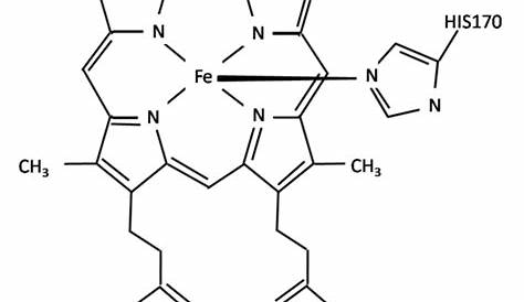 Horseradish peroxidase msds properties cas no molecular