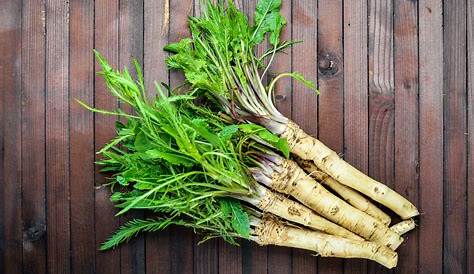 How To Grow And Use Horseradish Off The Grid News