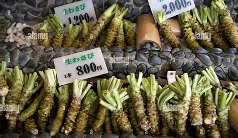 Horseradish Root Wasabi Shan Kui Gen Fresh Eutrema Japonicum/Japanese