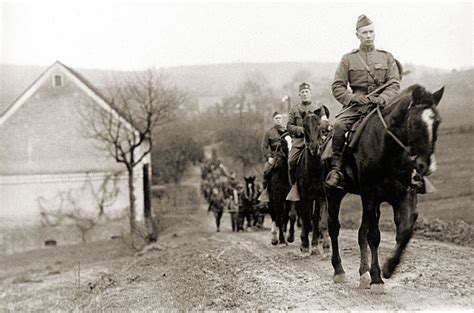horses during world war 1
