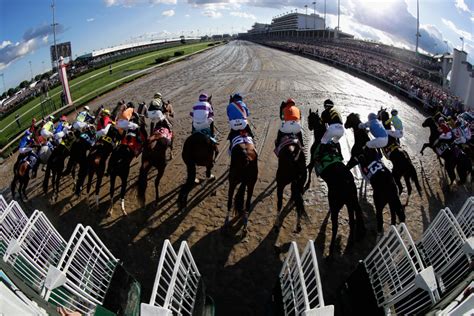 horses dying at kentucky derby