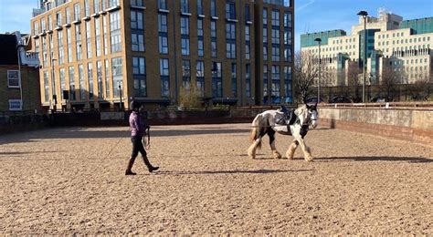horses for share london