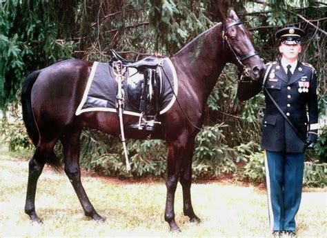 Colors for a Bygone Era A US cavalry soldier in WWII, undated