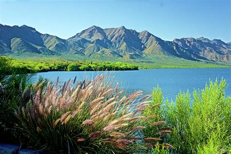 horseshoe lake arizona