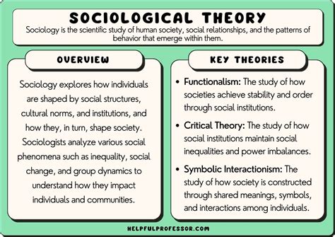 horseshoe theory examples in sociology