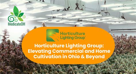 Incredible Horticulture Lighting Group Ideas