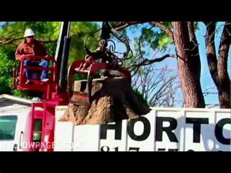 horton tree service fort worth