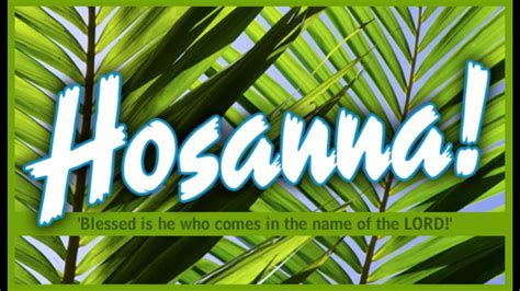 hosanna blessed is he who comes